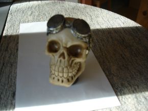 Shiftknobs - Skull with Steampunk Glasses
